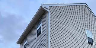 Professional Siding in Puhi, HI